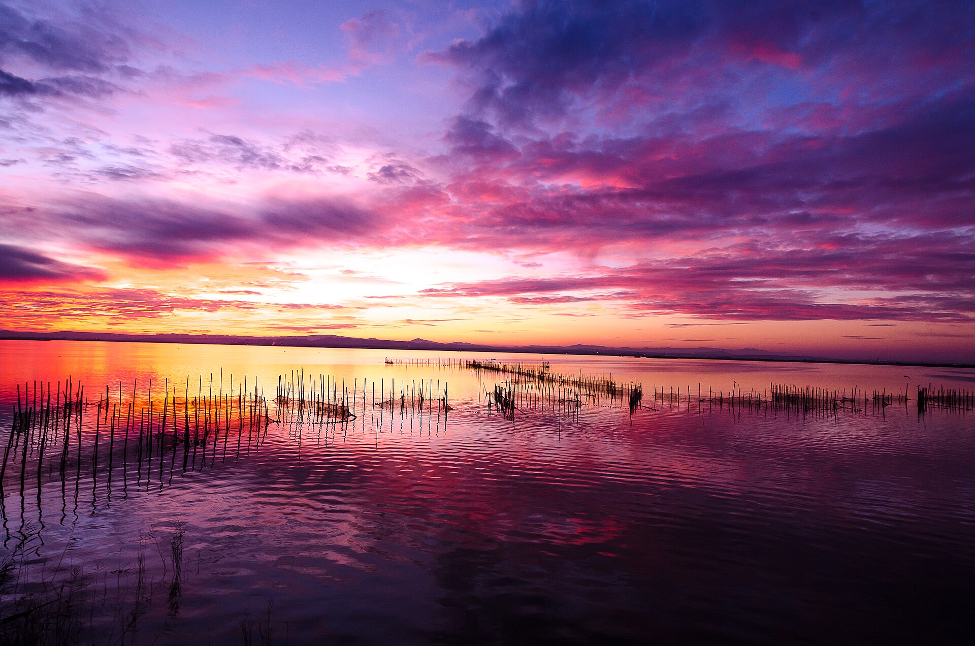 Albufera Nature Escape